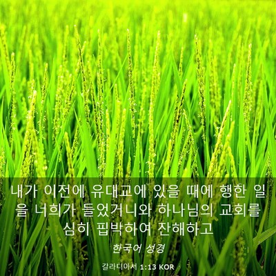 Picture 03 - 갈라디아서 1:13 KOR - 내가 이전에 유대교에 있을 때에 - Bible Verse Picture