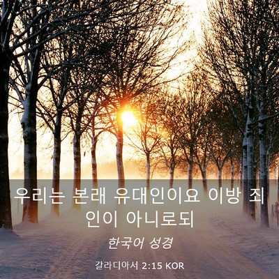 Picture 03 - 갈라디아서 2:15 KOR - 우리는 본래 유대인이요 이방 죄인이 - Bible Verse Picture