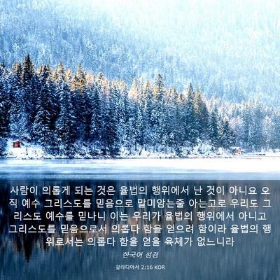 Picture 03 - 갈라디아서 2:16 KOR - 사람이 의롭게 되는 것은 율법의 - Bible Verse Picture