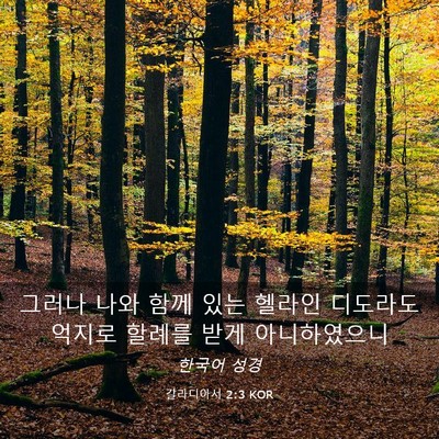 Picture 03 - 갈라디아서 2:3 KOR - 그러나 나와 함께 있는 헬라인 - Bible Verse Picture