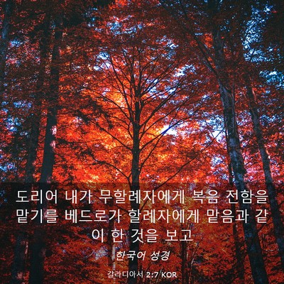 Picture 03 - 갈라디아서 2:7 KOR - 도리어 내가 무할례자에게 복음 - Bible Verse Picture