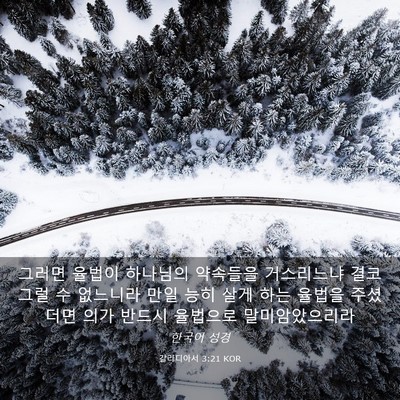 Picture 03 - 갈라디아서 3:21 KOR - 그러면 율법이 하나님의 약속들을 - Bible Verse Picture