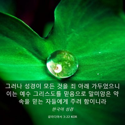 Picture 03 - 갈라디아서 3:22 KOR - 그러나 성경이 모든 것을 죄 아래 - Bible Verse Picture