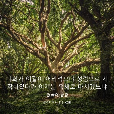 Picture 03 - 갈라디아서 3:3 KOR - 너희가 이같이 어리석으냐 성령으로 - Bible Verse Picture