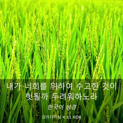Picture 03 - 갈라디아서 4:11 KOR - 내가 너희를 위하여 수고한 것이 - Bible Verse Picture
