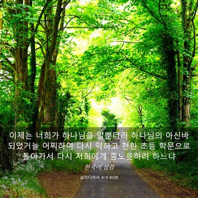 Picture 03 - 갈라디아서 4:9 KOR - 이제는 너희가 하나님을 알뿐더러 - Bible Verse Picture