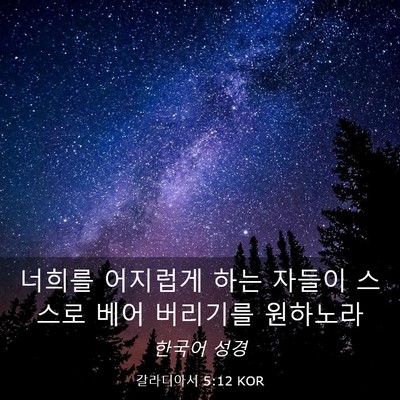 Picture 03 - 갈라디아서 5:12 KOR - 너희를 어지럽게 하는 자들이 스스로 - Bible Verse Picture