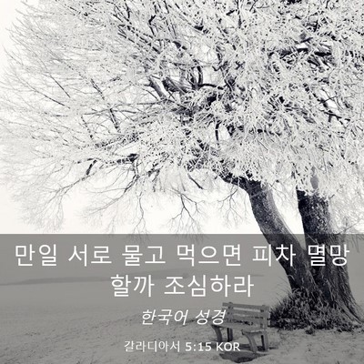 Picture 03 - 갈라디아서 5:15 KOR - 만일 서로 물고 먹으면 피차 - Bible Verse Picture