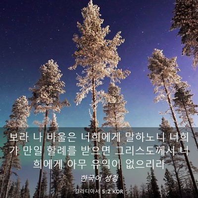 Picture 03 - 갈라디아서 5:2 KOR - 보라 나 바울은 너희에게 말하노니 - Bible Verse Picture
