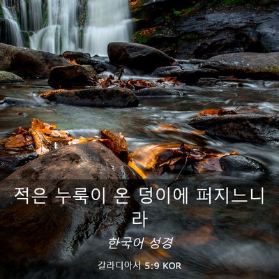 Picture 03 - 갈라디아서 5:9 KOR - 적은 누룩이 온 덩이에 - Bible Verse Picture