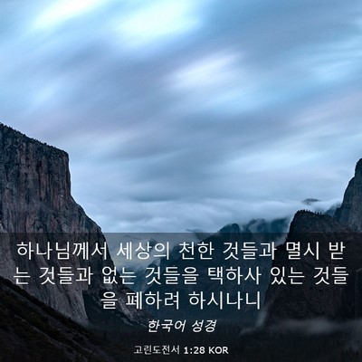 Picture 03 - 고린도전서 1:28 KOR - 하나님께서 세상의 천한 것들과 멸시 - Bible Verse Picture
