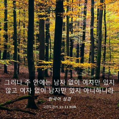Picture 03 - 고린도전서 11:11 KOR - 그러나 주 안에는 남자 없이 여자만 - Bible Verse Picture