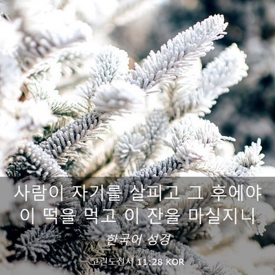Picture 03 - 고린도전서 11:28 KOR - 사람이 자기를 살피고 그 후에야 이 - Bible Verse Picture