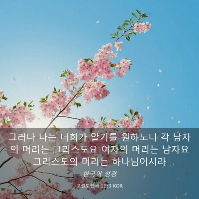 Picture 03 - 고린도전서 11:3 KOR - 그러나 나는 너희가 알기를 원하노니 - Bible Verse Picture