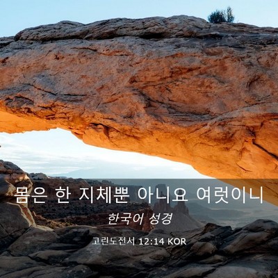 Picture 03 - 고린도전서 12:14 KOR - 몸은 한 지체뿐 아니요 - Bible Verse Picture