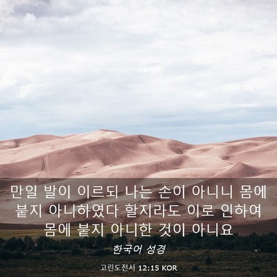 Picture 03 - 고린도전서 12:15 KOR - 만일 발이 이르되 나는 손이 아니니 - Bible Verse Picture