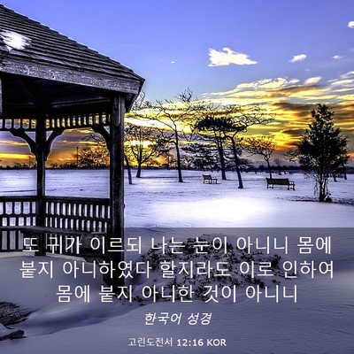 Picture 03 - 고린도전서 12:16 KOR - 또 귀가 이르되 나는 눈이 아니니 - Bible Verse Picture