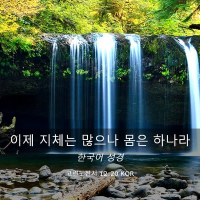 Picture 03 - 고린도전서 12:20 KOR - 이제 지체는 많으나 몸은 - Bible Verse Picture