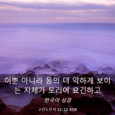 Picture 03 - 고린도전서 12:22 KOR - 이뿐 아니라 몸의 더 약하게 보이는 - Bible Verse Picture