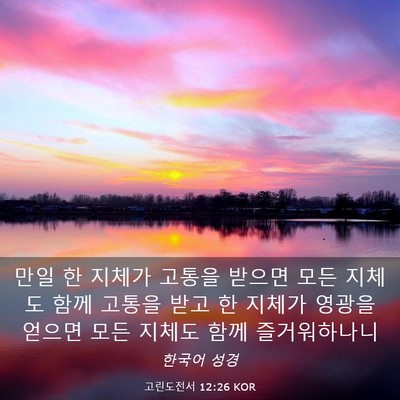 Picture 03 - 고린도전서 12:26 KOR - 만일 한 지체가 고통을 받으면 모든 - Bible Verse Picture