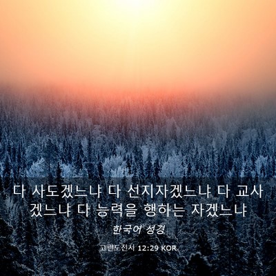 Picture 03 - 고린도전서 12:29 KOR - 다 사도겠느냐 다 선지자겠느냐 다 - Bible Verse Picture