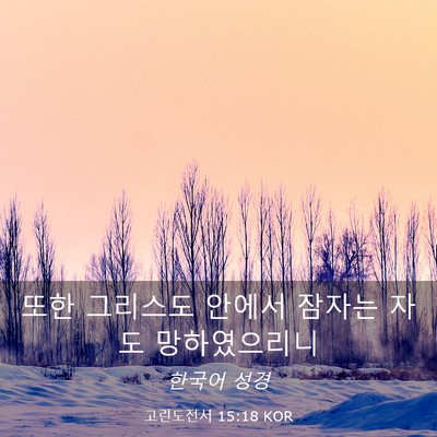 Picture 03 - 고린도전서 15:18 KOR - 또한 그리스도 안에서 잠자는 자도 - Bible Verse Picture