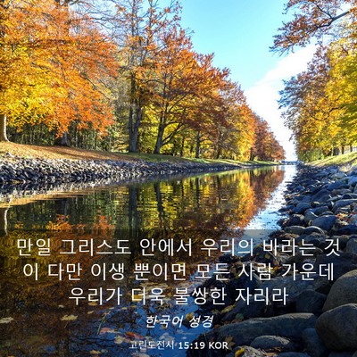 Picture 03 - 고린도전서 15:19 KOR - 만일 그리스도 안에서 우리의 바라는 - Bible Verse Picture