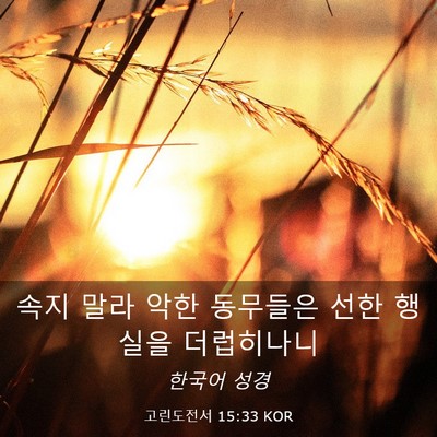 Picture 03 - 고린도전서 15:33 KOR - 속지 말라 악한 동무들은 선한 - Bible Verse Picture