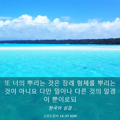 Picture 03 - 고린도전서 15:37 KOR - 또 너의 뿌리는 것은 장래 형체를 - Bible Verse Picture