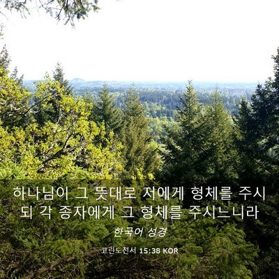 Picture 03 - 고린도전서 15:38 KOR - 하나님이 그 뜻대로 저에게 형체를 - Bible Verse Picture