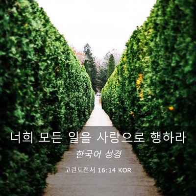 Picture 03 - 고린도전서 16:14 KOR - 너희 모든 일을 사랑으로 - Bible Verse Picture