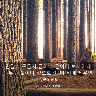 Picture 03 - 고린도전서 3:12 KOR - 만일 누구든지 금이나 은이나 - Bible Verse Picture