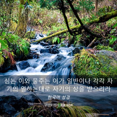 Picture 03 - 고린도전서 3:8 KOR - 심는 이와 물주는 이가 일반이나 - Bible Verse Picture
