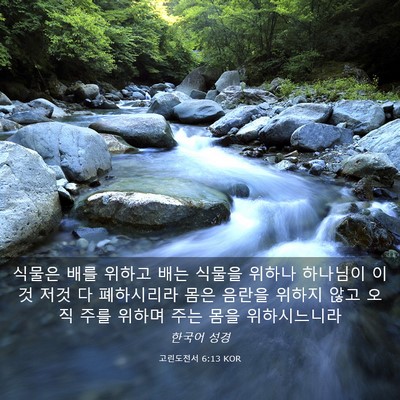 Picture 03 - 고린도전서 6:13 KOR - 식물은 배를 위하고 배는 식물을 - Bible Verse Picture