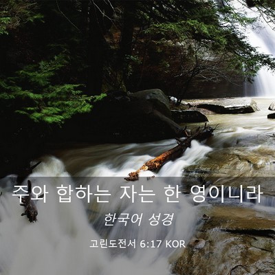 Picture 03 - 고린도전서 6:17 KOR - 주와 합하는 자는 한 - Bible Verse Picture