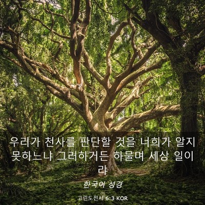 Picture 03 - 고린도전서 6:3 KOR - 우리가 천사를 판단할 것을 너희가 - Bible Verse Picture