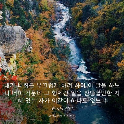 Picture 03 - 고린도전서 6:5 KOR - 내가 너희를 부끄럽게 하려 하여 이 - Bible Verse Picture