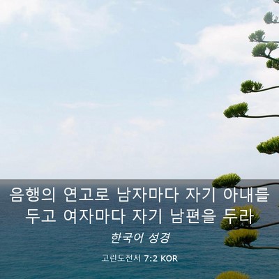 Picture 03 - 고린도전서 7:2 KOR - 음행의 연고로 남자마다 자기 아내를 - Bible Verse Picture