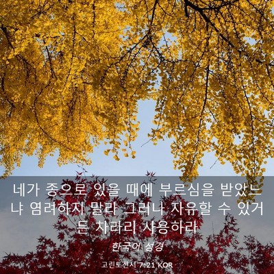 Picture 03 - 고린도전서 7:21 KOR - 네가 종으로 있을 때에 부르심을 - Bible Verse Picture