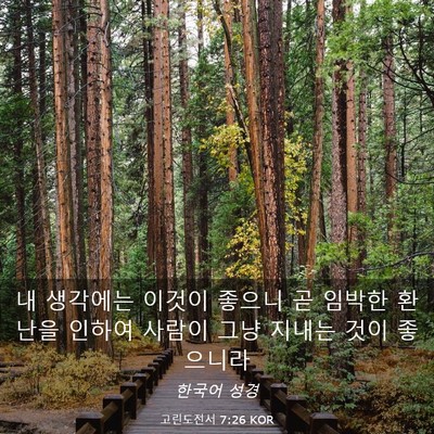 Picture 03 - 고린도전서 7:26 KOR - 내 생각에는 이것이 좋으니 곧 - Bible Verse Picture