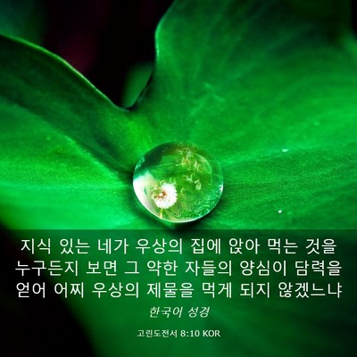 Picture 03 - 고린도전서 8:10 KOR - 지식 있는 네가 우상의 집에 앉아 - Bible Verse Picture