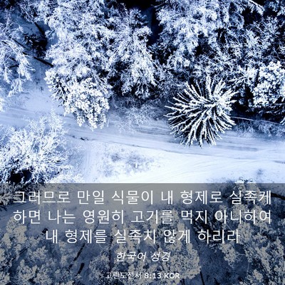 Picture 03 - 고린도전서 8:13 KOR - 그러므로 만일 식물이 내 형제로 - Bible Verse Picture