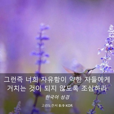 Picture 03 - 고린도전서 8:9 KOR - 그런즉 너희 자유함이 약한 자들에게 - Bible Verse Picture