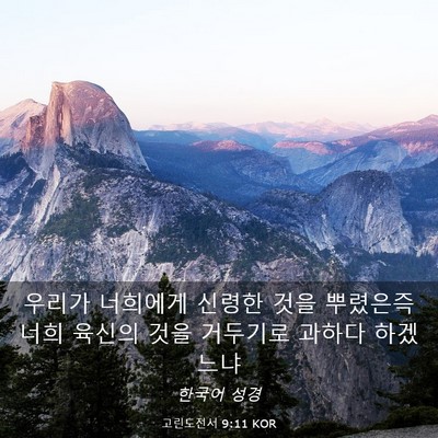 Picture 03 - 고린도전서 9:11 KOR - 우리가 너희에게 신령한 것을 - Bible Verse Picture