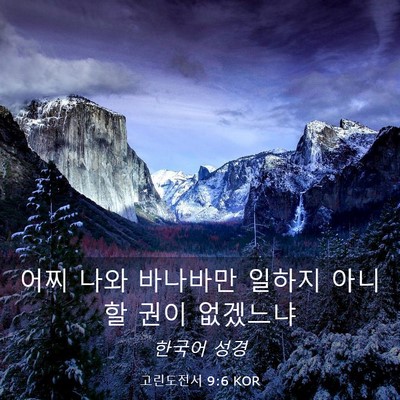 Picture 03 - 고린도전서 9:6 KOR - 어찌 나와 바나바만 일하지 아니할 - Bible Verse Picture