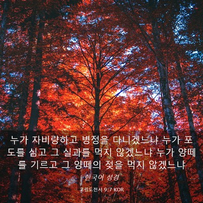 Picture 03 - 고린도전서 9:7 KOR - 누가 자비량하고 병정을 다니겠느냐 - Bible Verse Picture