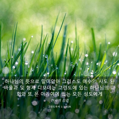 Picture 03 - 고린도후서 1:1 KOR - 하나님의 뜻으로 말미암아 그리스도 - Bible Verse Picture