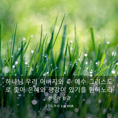 Picture 03 - 고린도후서 1:2 KOR - 하나님 우리 아버지와 주 예수 - Bible Verse Picture