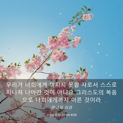 Picture 03 - 고린도후서 10:14 KOR - 우리가 너희에게 미치지 못할 자로서 - Bible Verse Picture