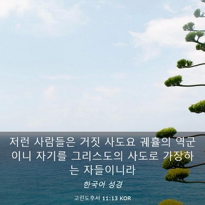 Picture 03 - 고린도후서 11:13 KOR - 저런 사람들은 거짓 사도요 궤휼의 - Bible Verse Picture